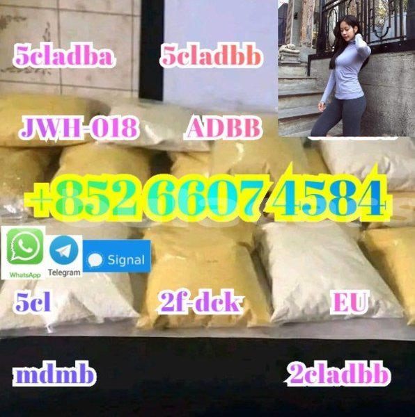 Big with watermark screenshot 38