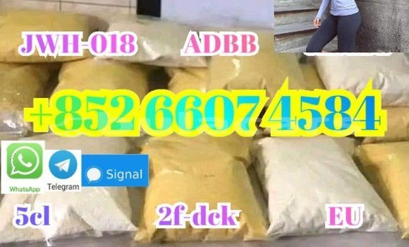 Medium with watermark screenshot 38