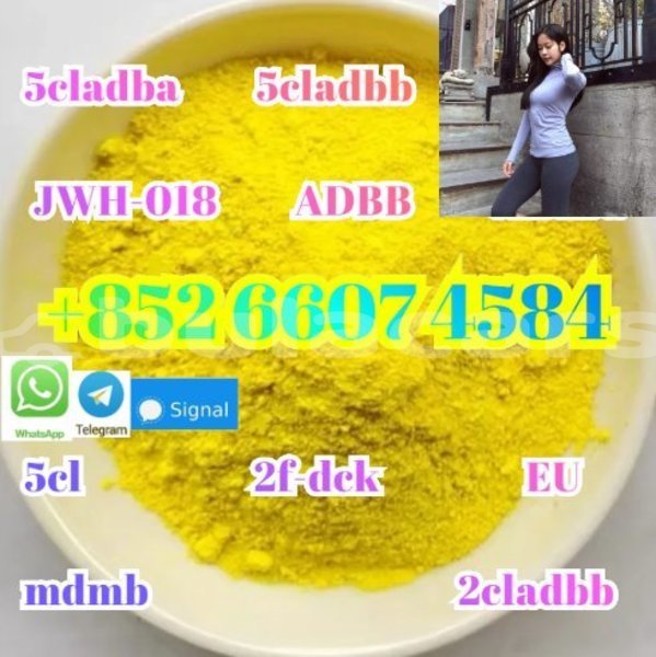 Big with watermark screenshot 40