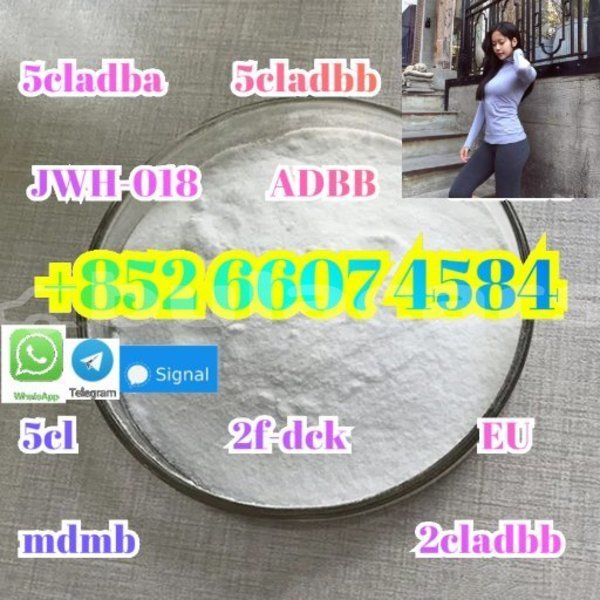 Big with watermark screenshot 45