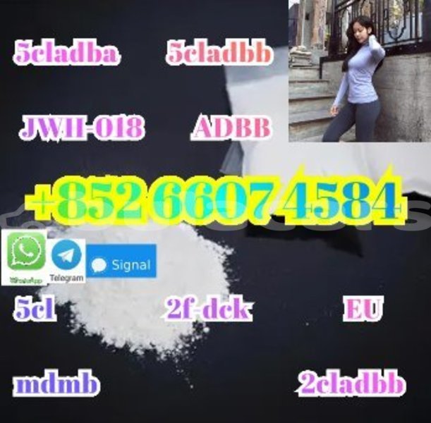 Big with watermark screenshot 46