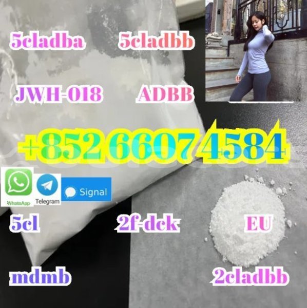 Big with watermark screenshot 47