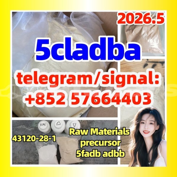 Big with watermark 5c2