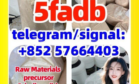 Medium with watermark 5cl1