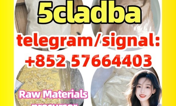 Medium with watermark 53