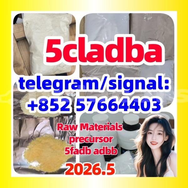 Big with watermark 554