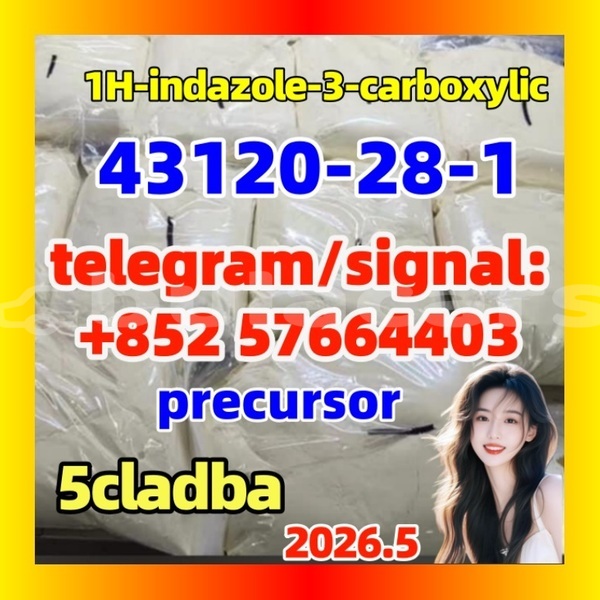 Big with watermark 5431 4 