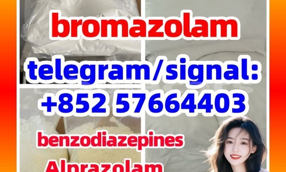 Medium with watermark b1