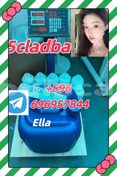 Big with watermark photo 2026 04 21 15 06 28 %e5%89%af%e6%9c%ac