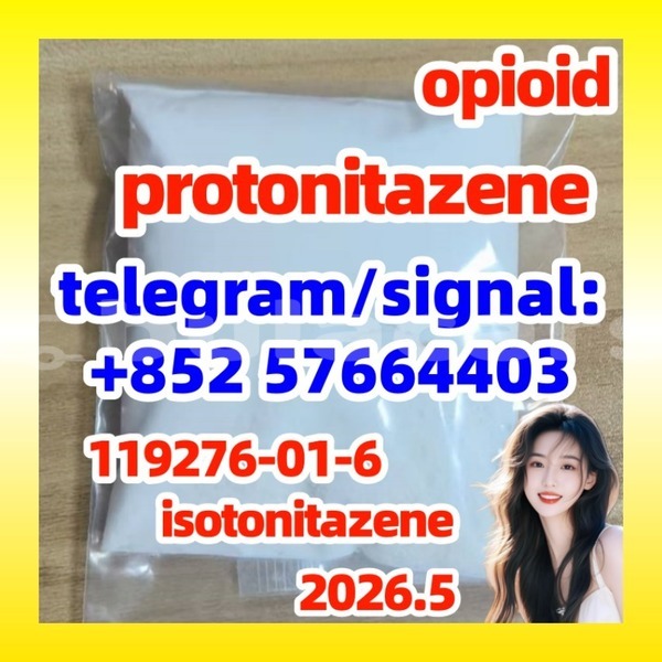 Big with watermark p2