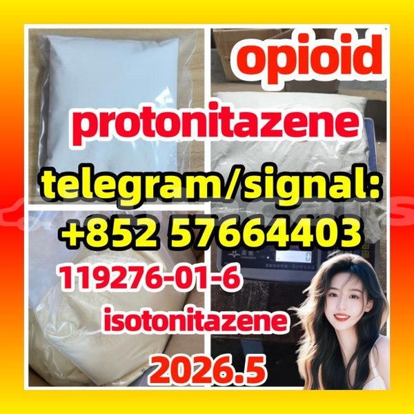 Big with watermark p55