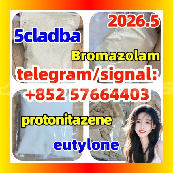 Big with watermark z5