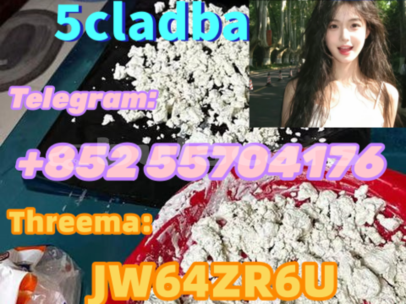 Big with watermark f16724fc 6746 4fbb 9e36 60916d971177