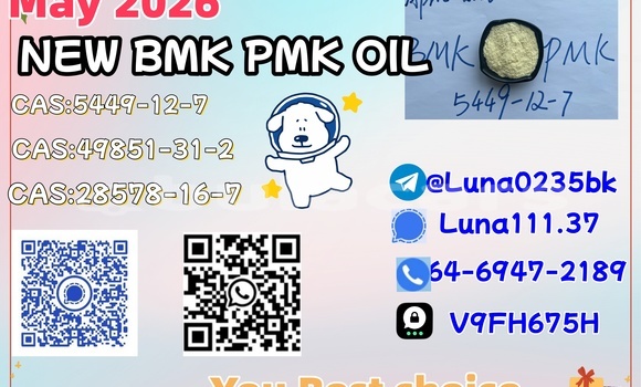 Buy Used Adler Diplomat Beige Car in Barotu in Western