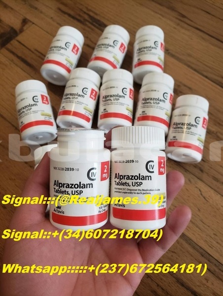 Big with watermark 0a025e3b 648c 4127 9991 c067d10fe77f