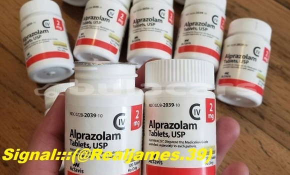 Medium with watermark 0a025e3b 648c 4127 9991 c067d10fe77f