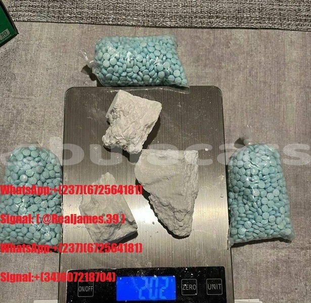 Big with watermark img 20260227 083122 685