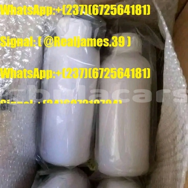 Big with watermark fb img 17574451648490121