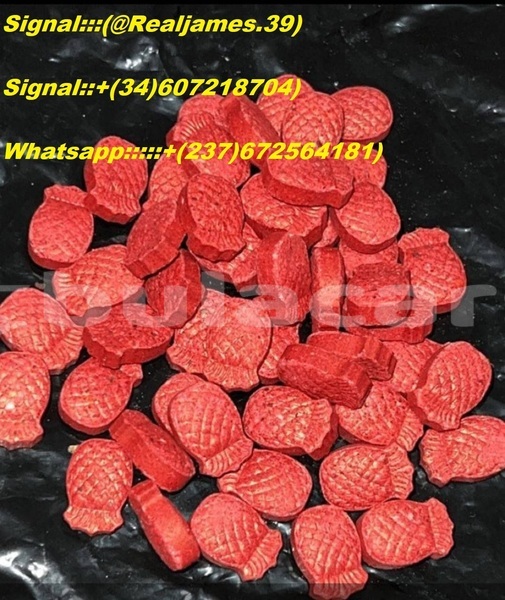 Big with watermark 35aaf411 07b4 4d16 ab63 4fa1842b5c55