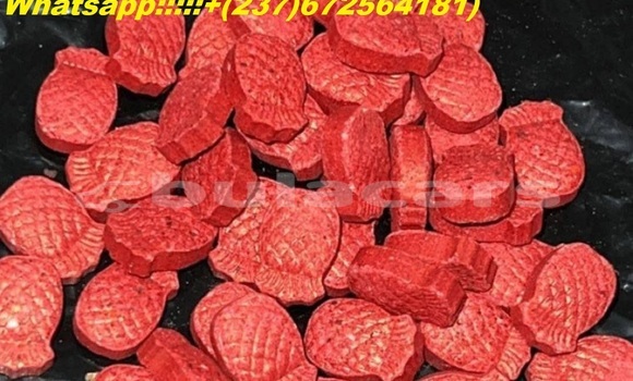 Acheter We Supply OxyContin ETC à Import - Dubai, Central Acheter We Supply OxyContin ETC à Import - Dubai, Central