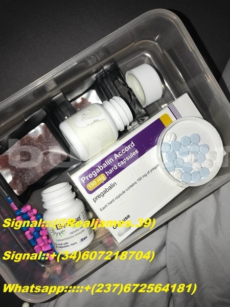 Big with watermark 6c99b060 f4bd 40dd 8d4e 1d9973c1bd01