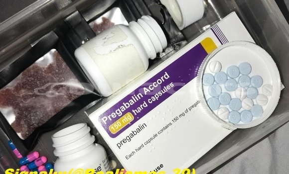 Buy Buy cocaine online uk in Lekutu in Northern Buy Buy cocaine online uk in Lekutu in Northern