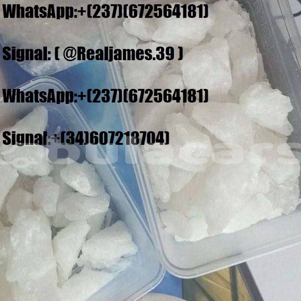 Big with watermark img 20251018 134842 337