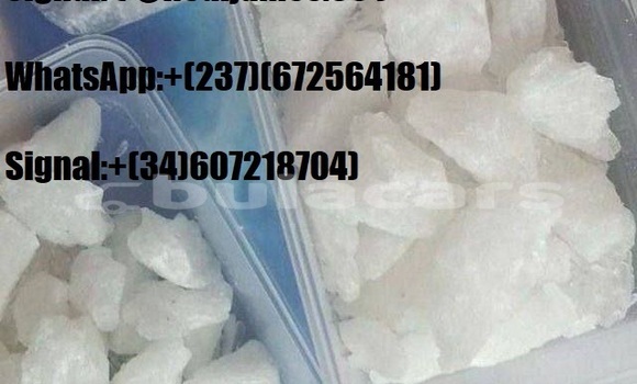 Buy BUY WEED ONLINE USA in Volivoli in Western Buy BUY WEED ONLINE USA in Volivoli in Western