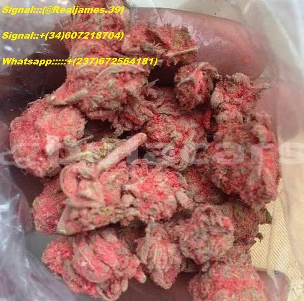 Big with watermark 3ac6498f 6320 4610 b70b 239a5a0ac6b0