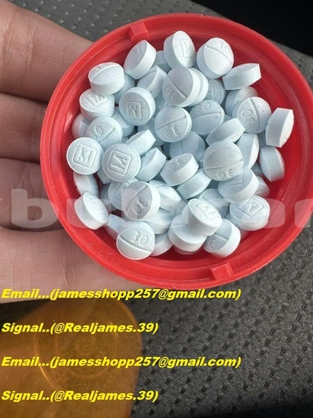 Big with watermark 7b13f283 b78d 4606 aede 53fcfa7aad5b