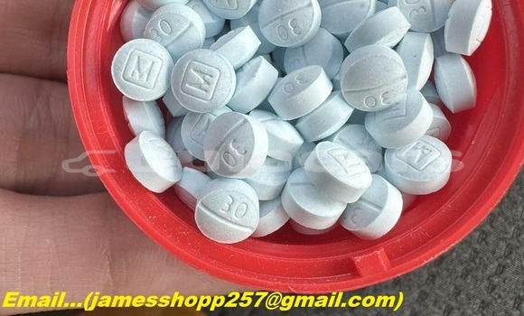 Buy Order Oxycontin Online in Vabea in Eastern Buy Order Oxycontin Online in Vabea in Eastern