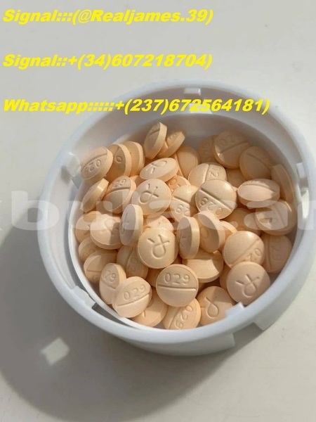 Big with watermark 36f4ed23 6d76 4760 9c02 8e1ceff433e1