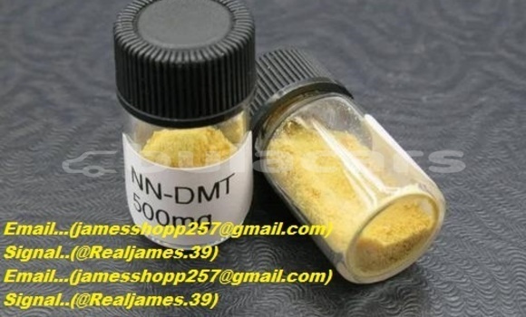Medium with watermark 17102993 whatsapp image 2025 07 23 at 223853 3cb0f8ce