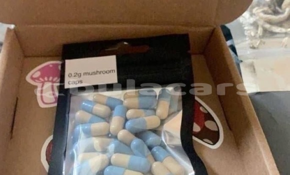 Buy Oxycodone 20mg for sale in Solevu in Western Buy Oxycodone 20mg for sale in Solevu in Western