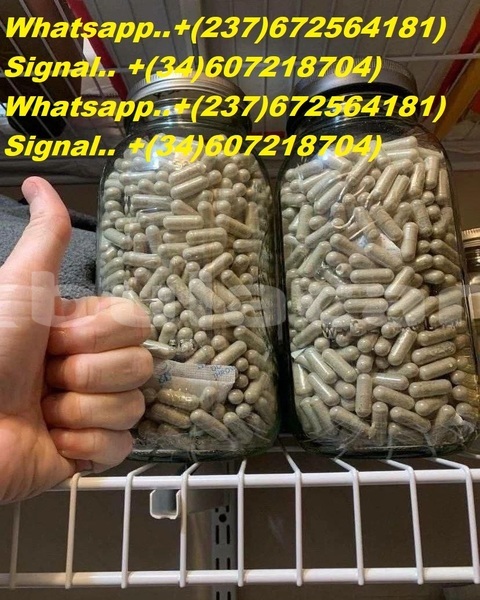 Big with watermark 2c2b2cef 65eb 49dd a991 36bf0bbc3271