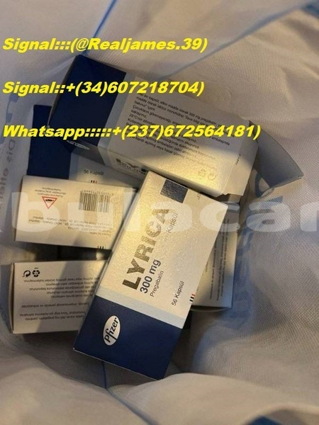 Big with watermark 1a4d989a 5b7d 42e7 962c 4f269960cc0b