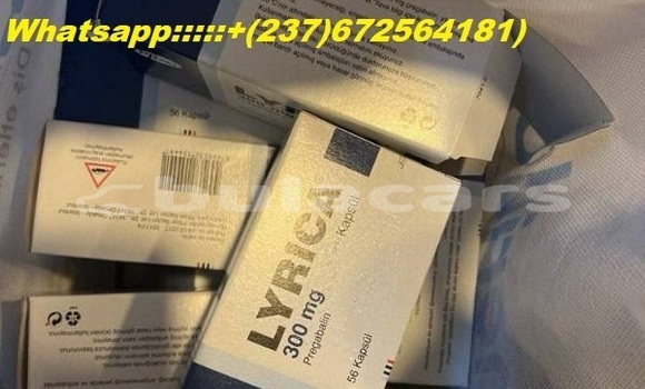 Buy buy Penis envy mushrooms in Lomaji in Eastern Buy buy Penis envy mushrooms in Lomaji in Eastern