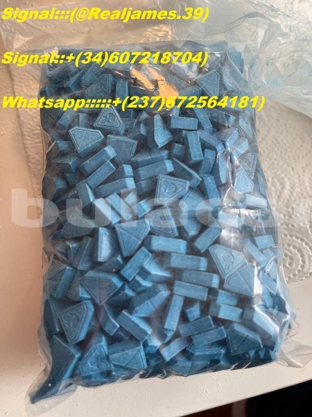 Big with watermark 0a3f0907 b68f 4e09 8300 d96ad123bd05