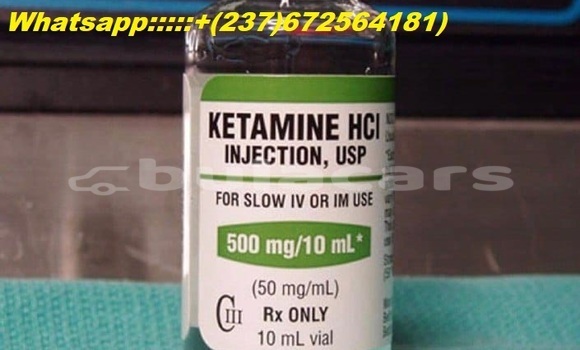 Buy Buy Nembutal online in Naroi in Eastern Buy Buy Nembutal online in Naroi in Eastern