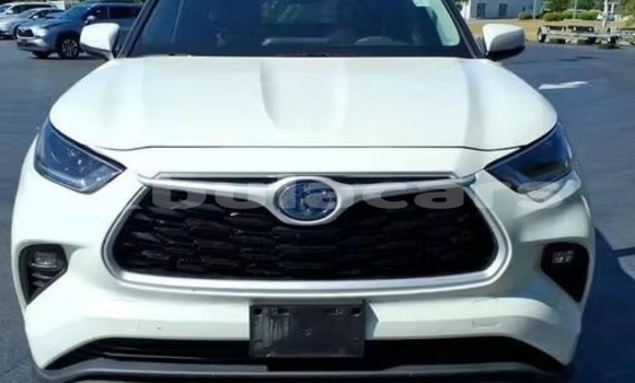 Buy Used Toyota Highlander White Car in Suva in Central
