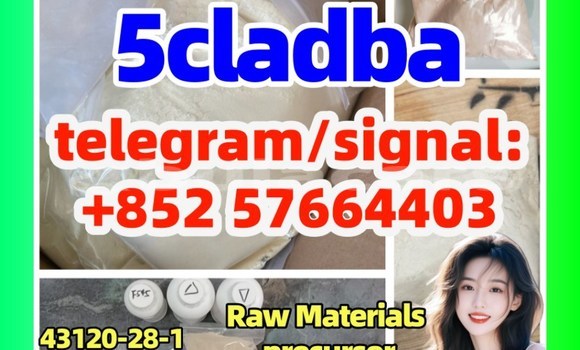 Medium with watermark 5c1