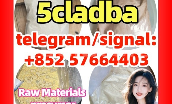 Medium with watermark 51