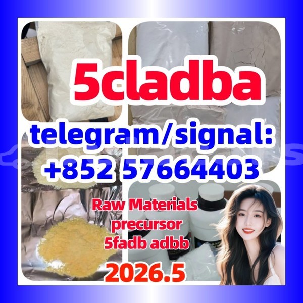 Big with watermark 551