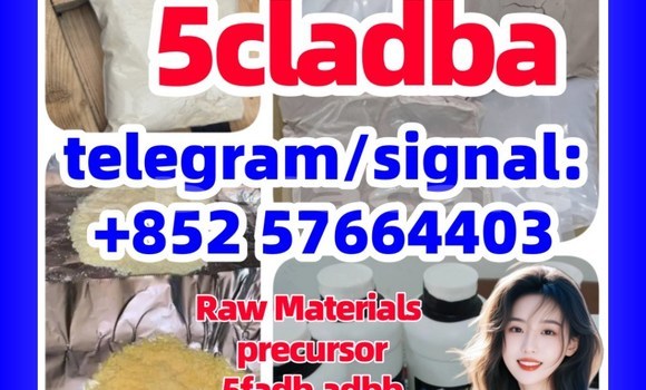 Medium with watermark 551