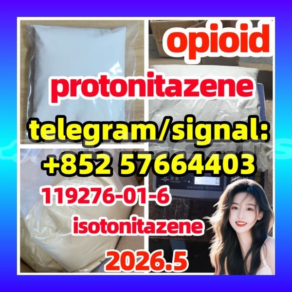 Big with watermark p11