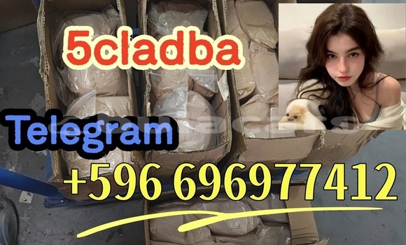 Medium with watermark 2.3 %e5%89%af%e6%9c%ac