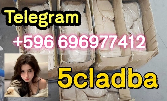 Medium with watermark 2..6
