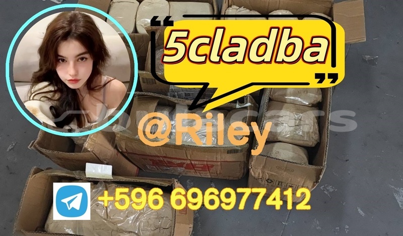 Big with watermark photo 2026 04 21 15 06 50 %e5%89%af%e6%9c%ac
