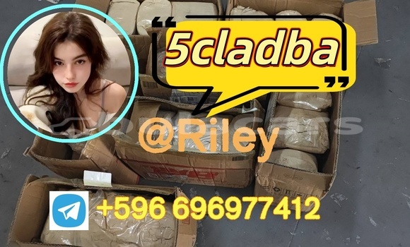 Medium with watermark photo 2026 04 21 15 06 50 %e5%89%af%e6%9c%ac