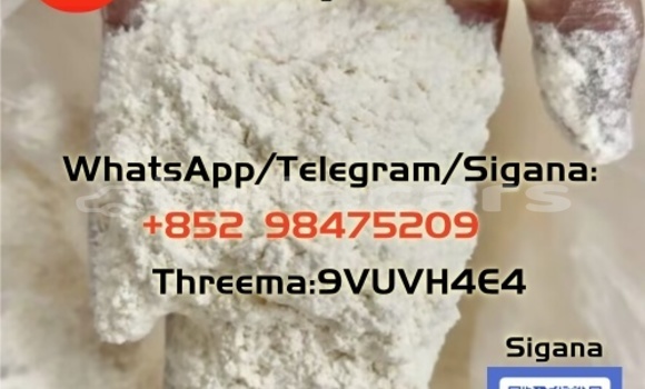 Medium with watermark 1